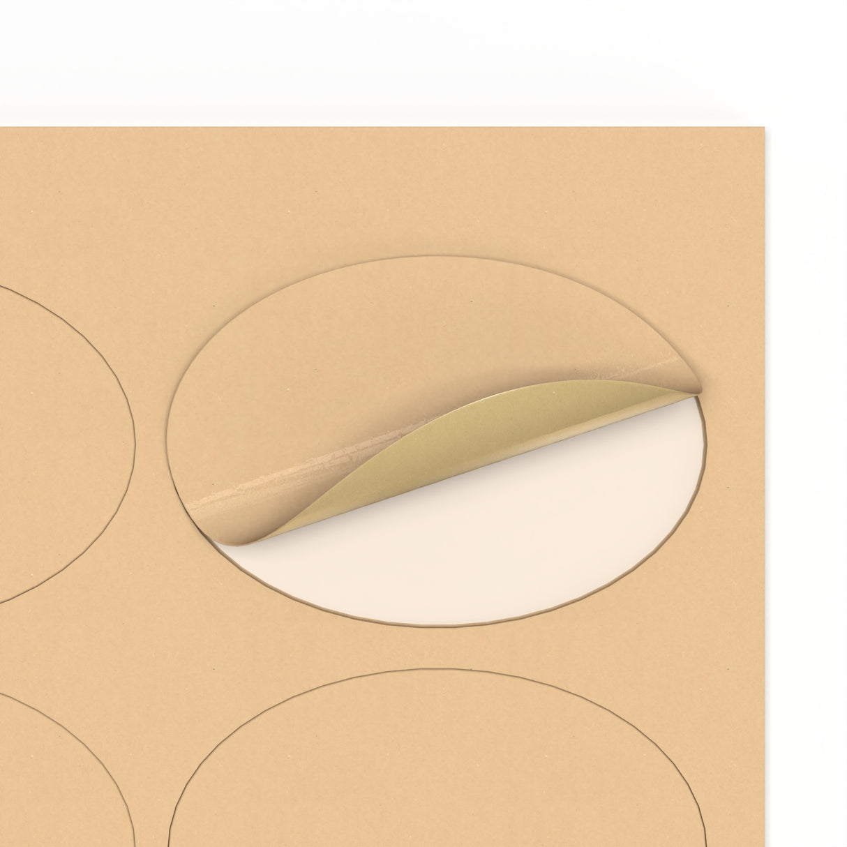 Oval Adhesive Labels