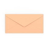 DL Salmon Pink Gummed V-Flap Envelope (110 x 220mm)