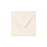Paper Lined Envelopes