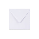 Paper Lined Envelopes