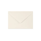 Paper Lined Envelopes