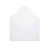Paper Lined Envelopes