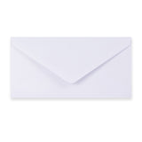 Paper Lined Envelopes